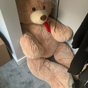 Big teddy bear